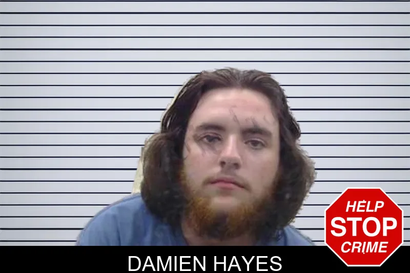 Damien Hayes mugshot