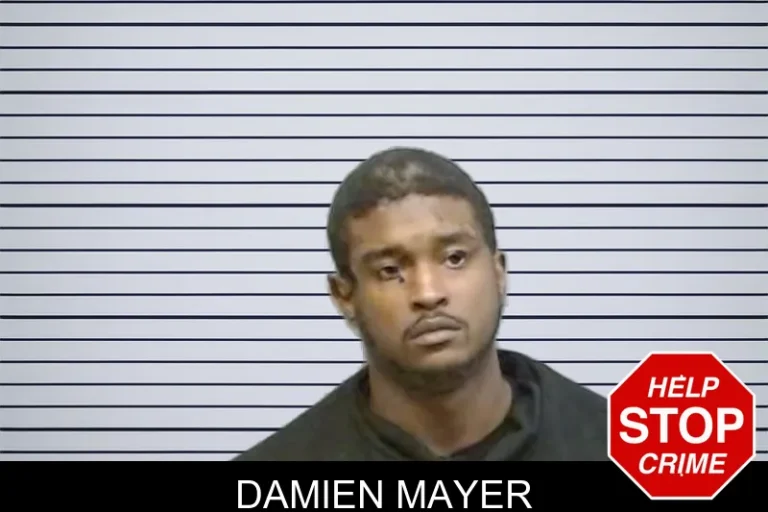 Damien Mayer