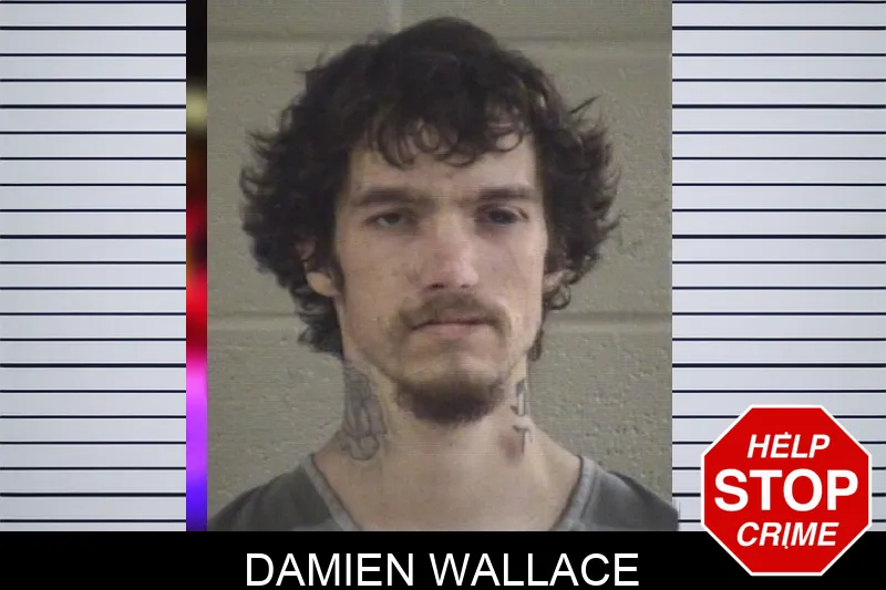 Damien Wallace mugshot – Whitfield County , Georgia Damien Wallace mugshot