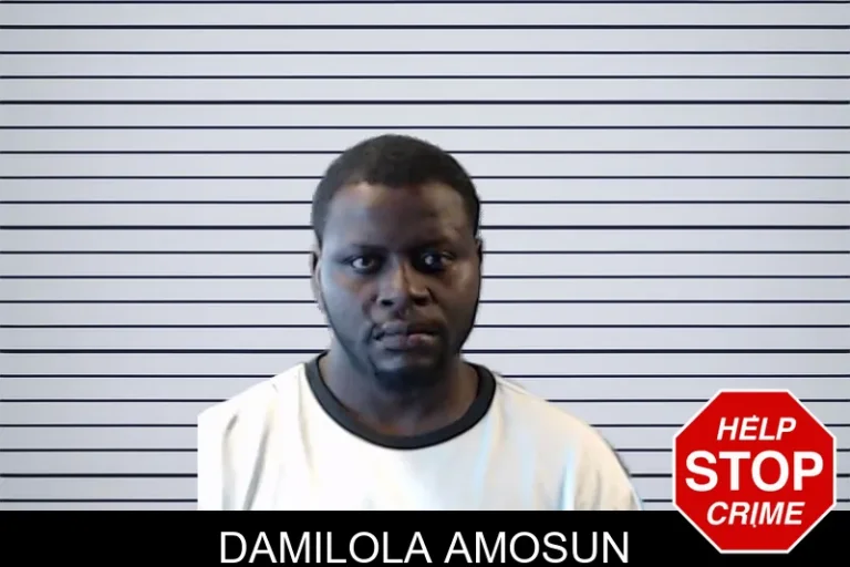Damilola Amosun mugshot – DeKalb County , Georgia Damilola Amosun