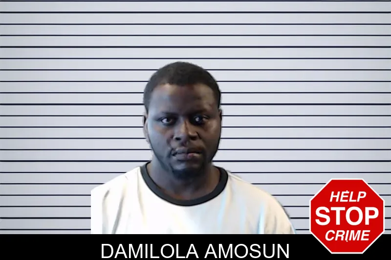 Damilola Amosun mugshot – DeKalb County , Georgia Damilola Amosun mugshot