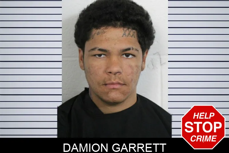 Damion Garrett mugshot – Floyd County , Georgia Damion Garrett mugshot