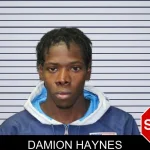 Damion Haynes mugshot