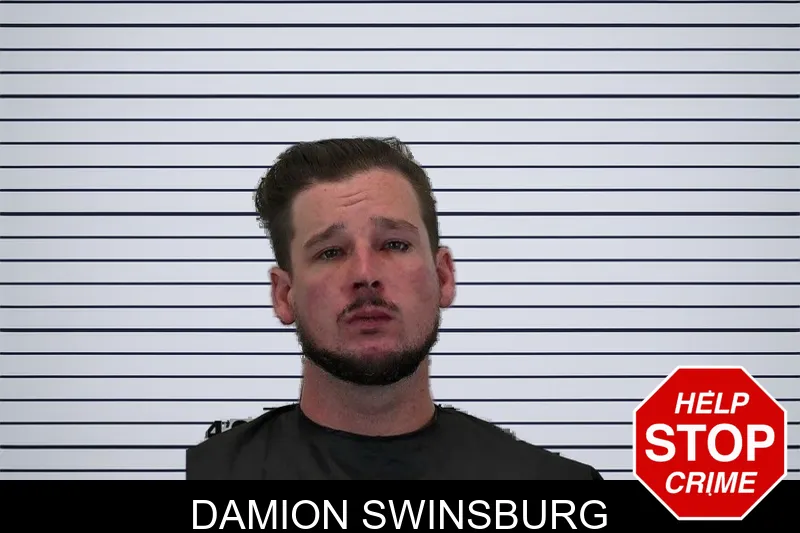 Damion Swinsburg mugshot – Hart County , Georgia Damion Swinsburg mugshot