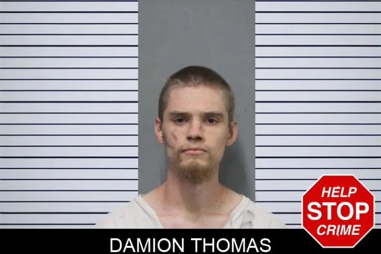 Damion Thomas mugshot – White County , Georgia Damion Thomas