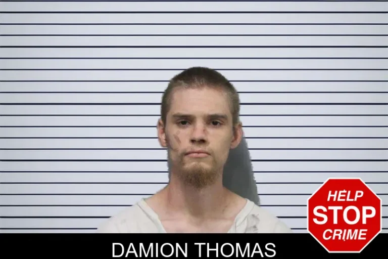 Damion Thomas mugshot – White County , Georgia Damion Thomas