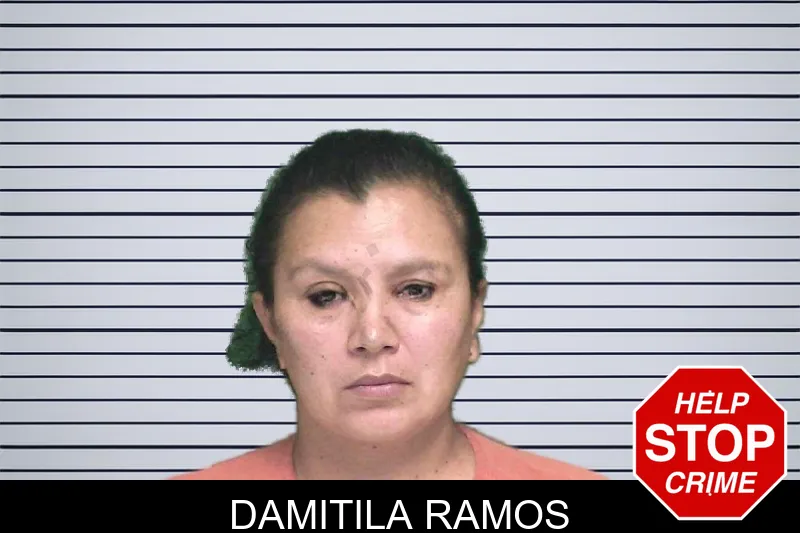 Damitila Ramos mugshot – Appling County , Georgia Damitila Ramos mugshot