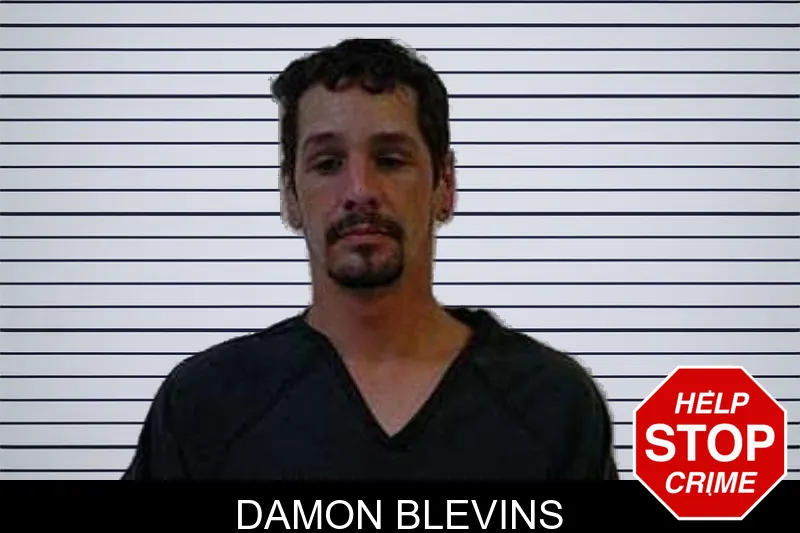 Damon Blevins mugshot