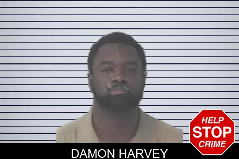 Damon Harvey