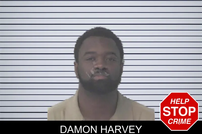 Damon Harvey mugshot