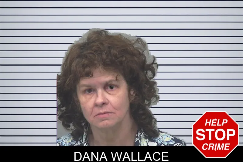 Dana Wallace mugshot – Gwinnett County , Georgia Dana Wallace mugshot