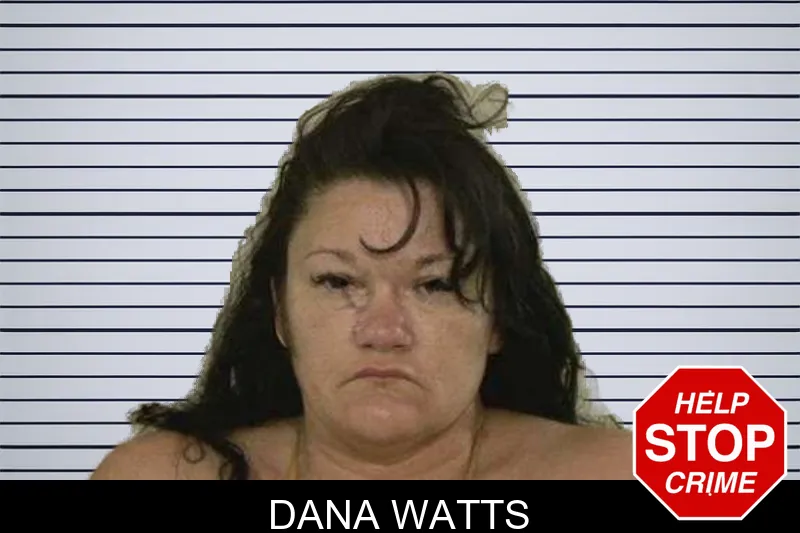 Dana Watts mugshot