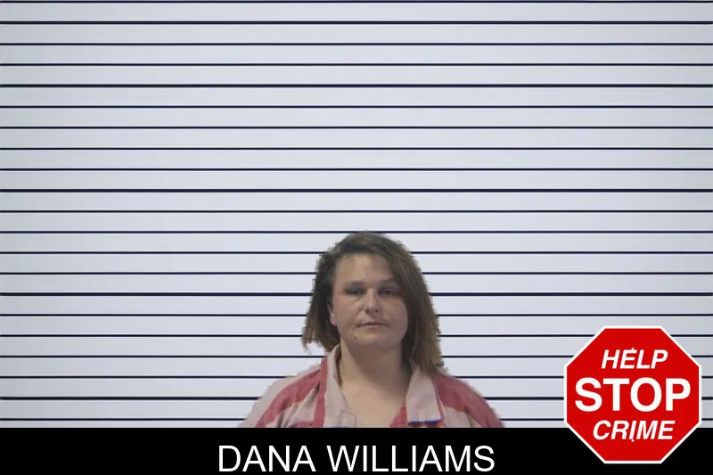 Dana Williams mugshot