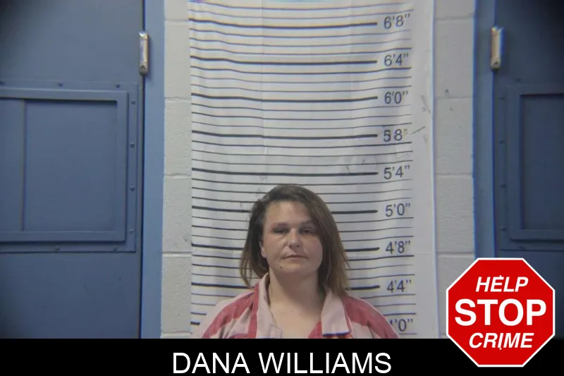 Dana Williams mugshot
