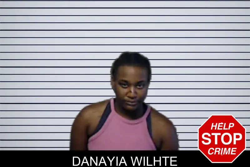Danayia Wilhte mugshot