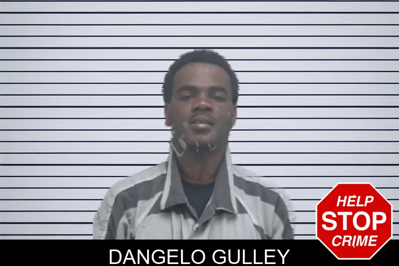 Dangelo Gulley mugshot – Dougherty County , Georgia Dangelo Gulley mugshot