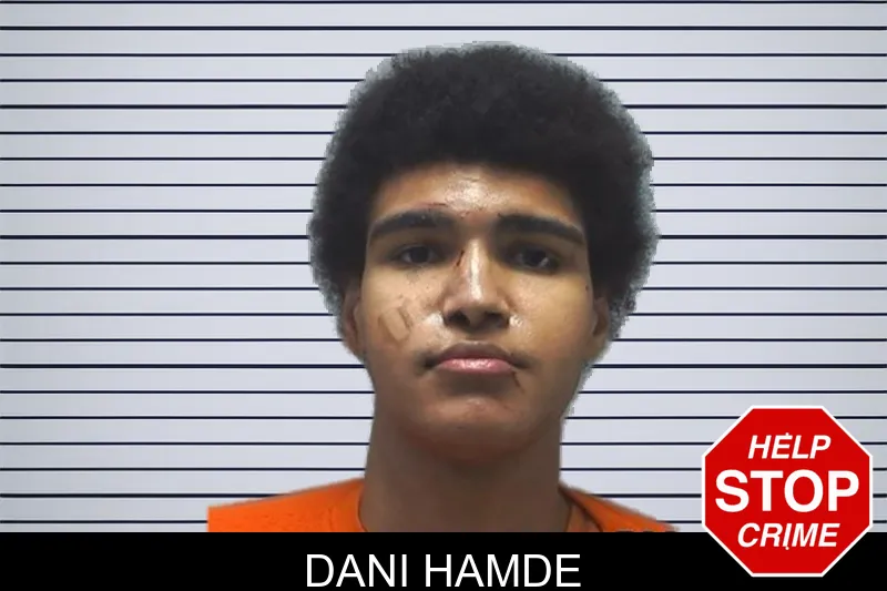 Dani Hamde mugshot – Cherokee County , Georgia Dani Hamde mugshot