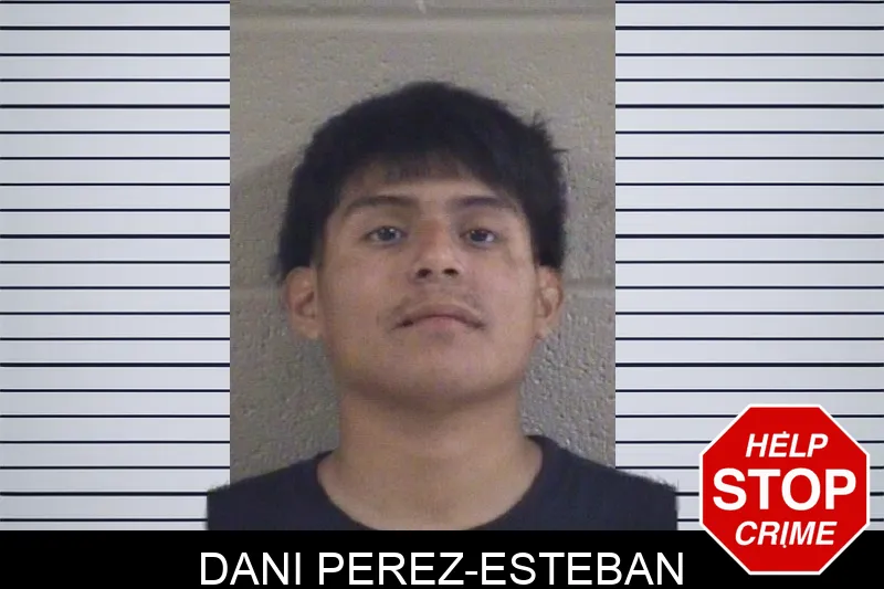 Dani Perez-Esteban mugshot – Whitfield County , Georgia Dani Perez-Esteban mugshot