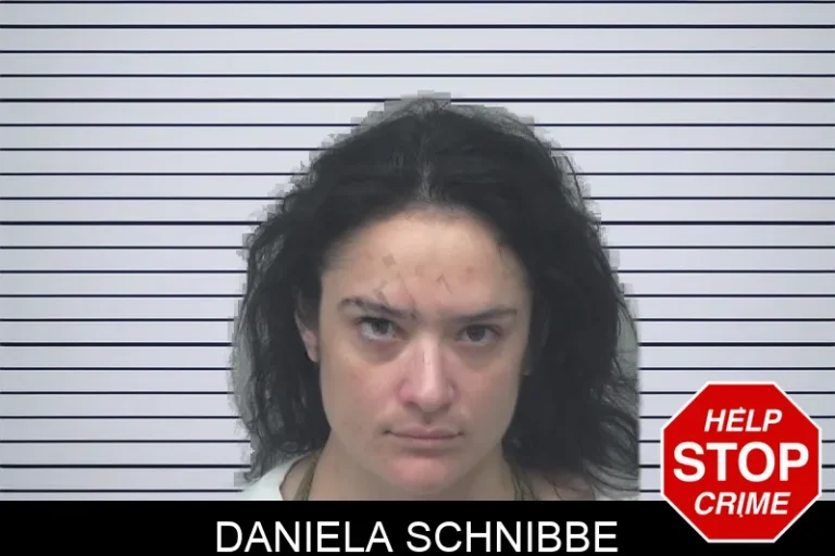 Daniela Schnibbe mugshot – Gwinnett County , Georgia Daniela Schnibbe