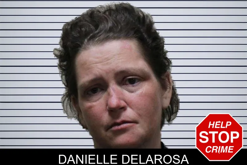 Danielle Delarosa mugshot – Haralson County , Georgia Danielle Delarosa mugshot