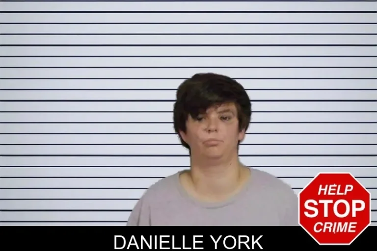 Danielle York mugshot – Candler County , Georgia Danielle York