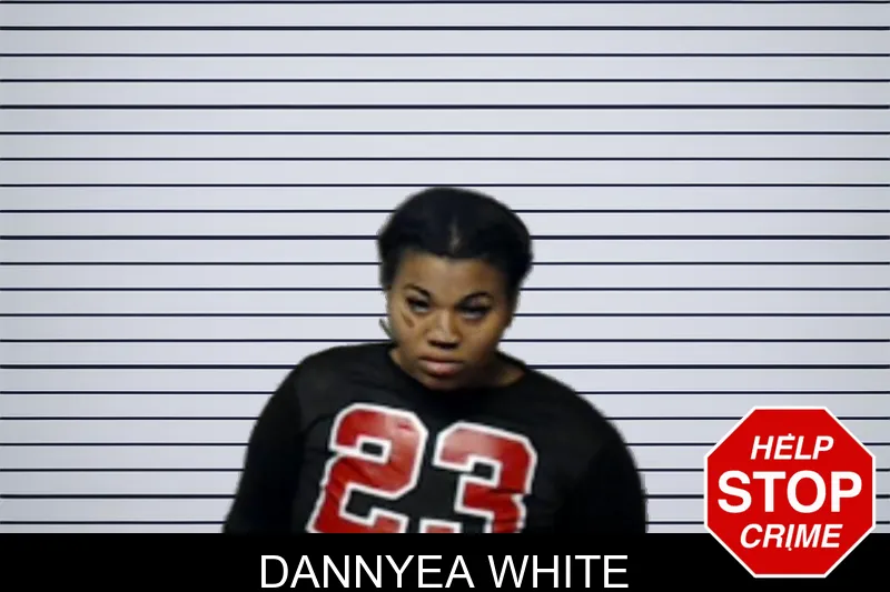 Dannyea White mugshot – DeKalb County , Georgia Dannyea White mugshot