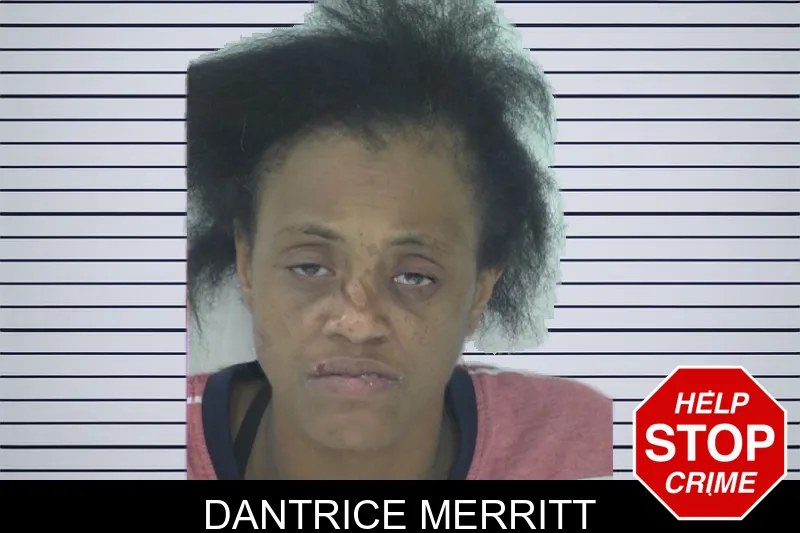 Dantrice Merritt mugshot