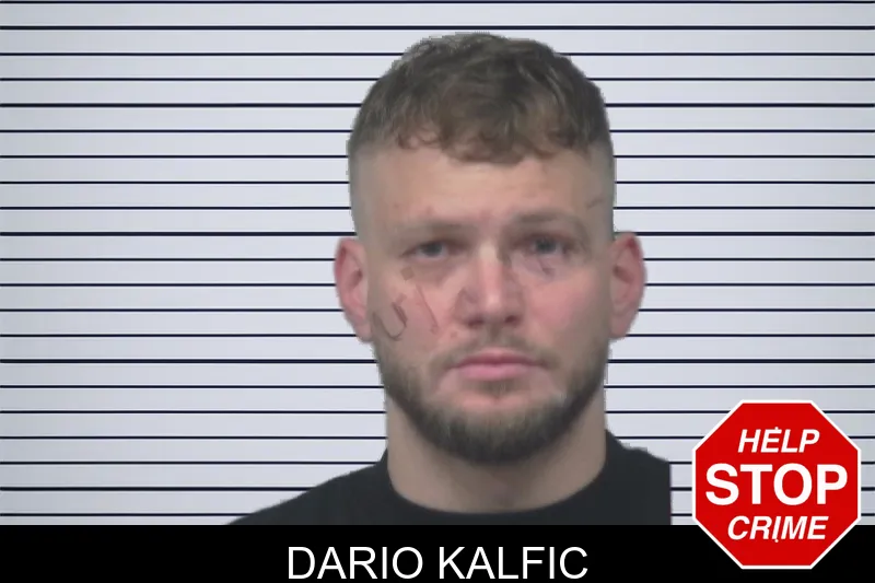 Dario Kalfic mugshot