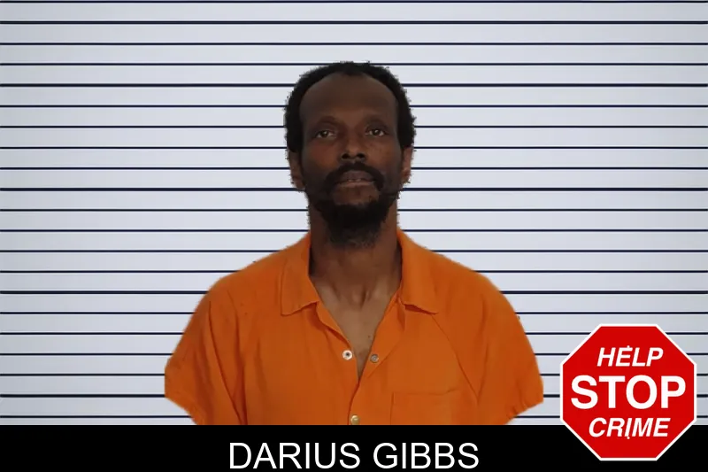 Darius Gibbs mugshot – Rockdale County , Georgia Darius Gibbs mugshot