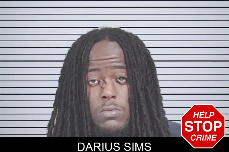 Darius Sims mugshot