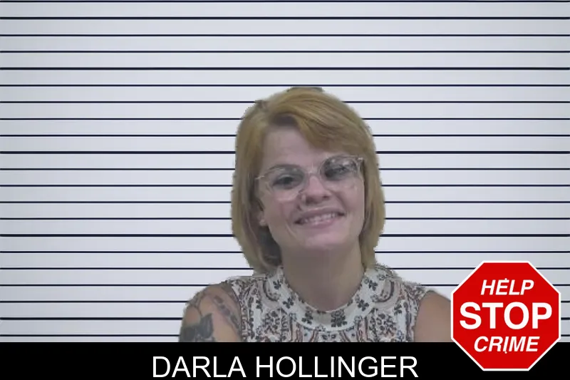 Darla Hollinger mugshot – Coffee County , Georgia Darla Hollinger mugshot