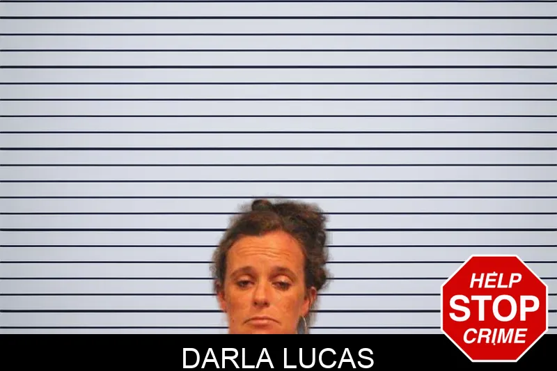 Darla Lucas mugshot