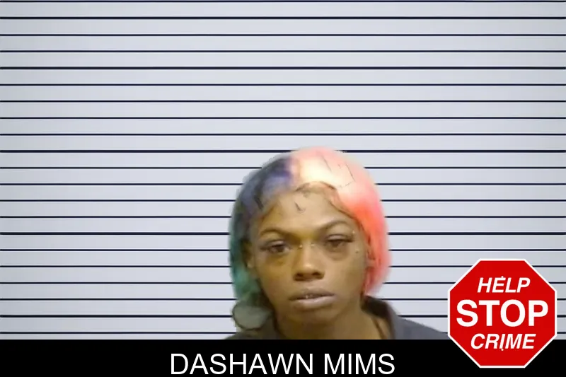 Dashawn Mims mugshot