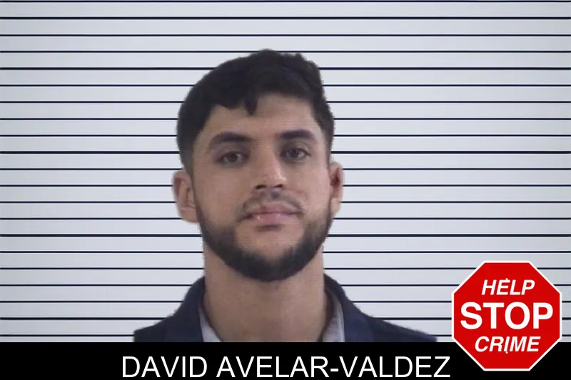 David Avelar-Valdez mugshot
