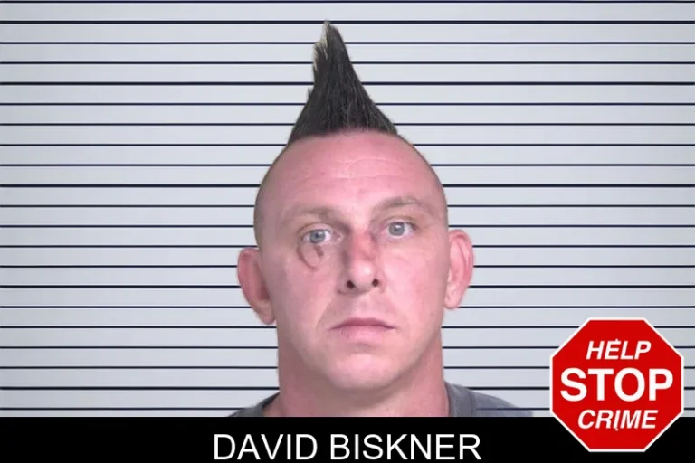 David Biskner