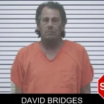 David Bridges mugshot