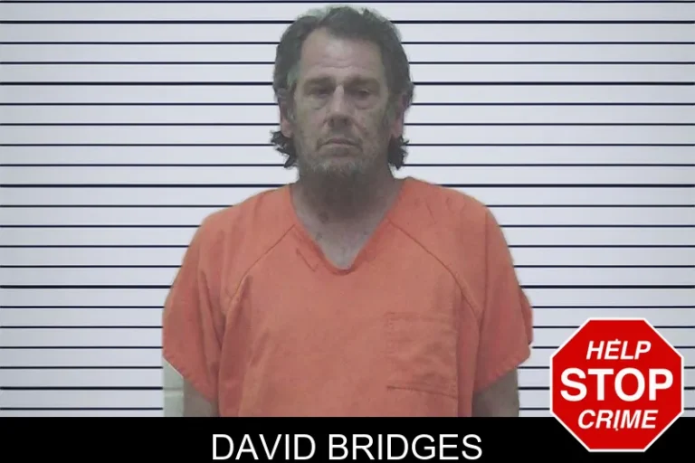 David Bridges