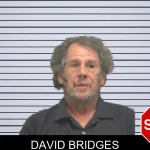 David Bridges mugshot