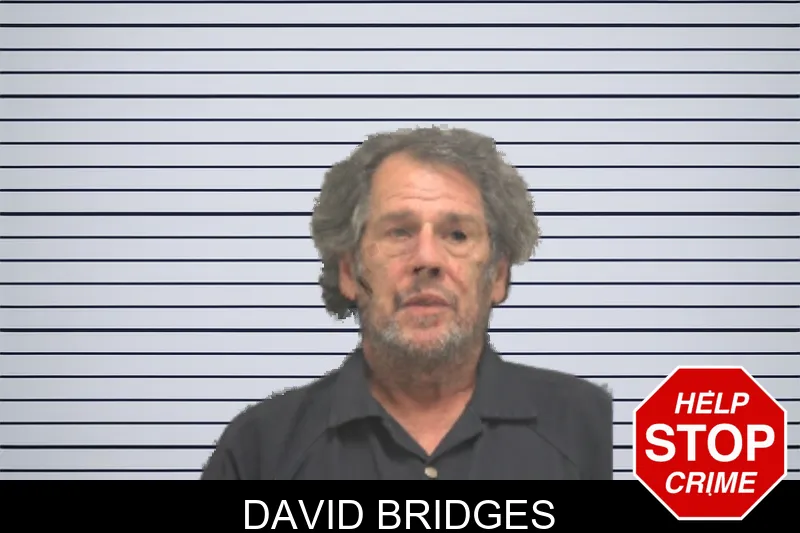 David Bridges mugshot