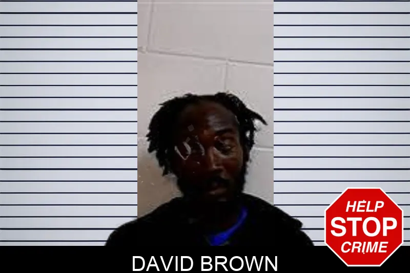 David Brown mugshot – Decatur County , Georgia David Brown mugshot