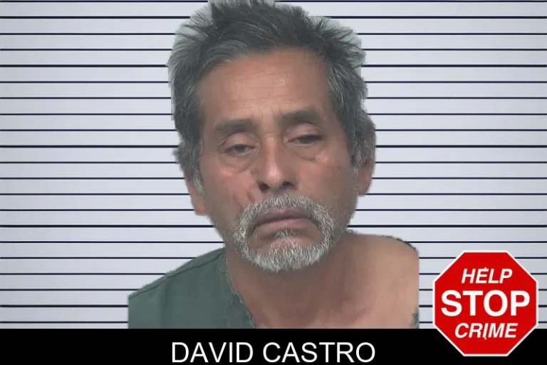 David Castro mugshot – Gwinnett County , Georgia David Castro