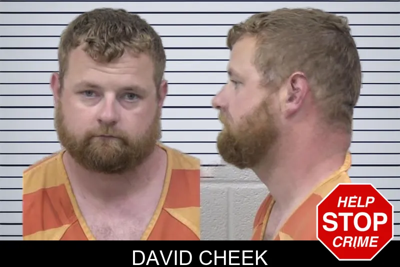 David Cheek mugshot
