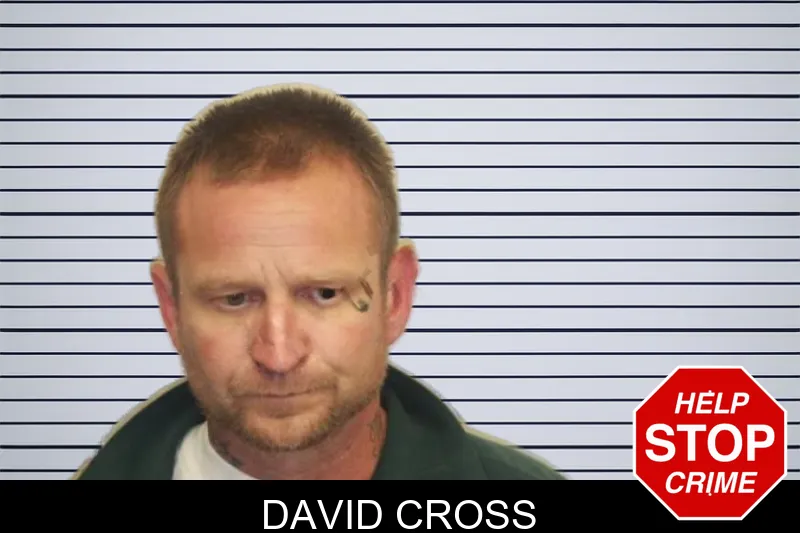 David Cross mugshot – Chatham County , Georgia David Cross mugshot