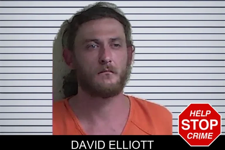 David Elliott mugshot – Fannin County , Georgia David Elliott