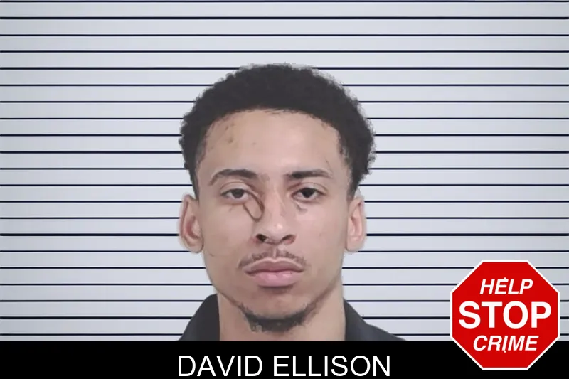 David Ellison mugshot