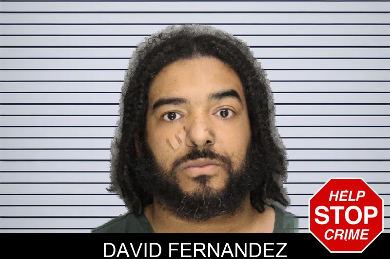 David Fernandez mugshot