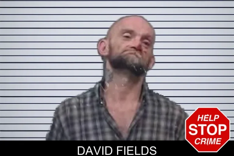 David Fields