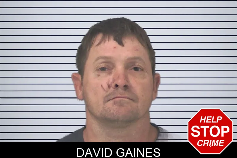 David Gaines mugshot