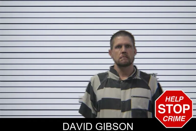 David Gibson