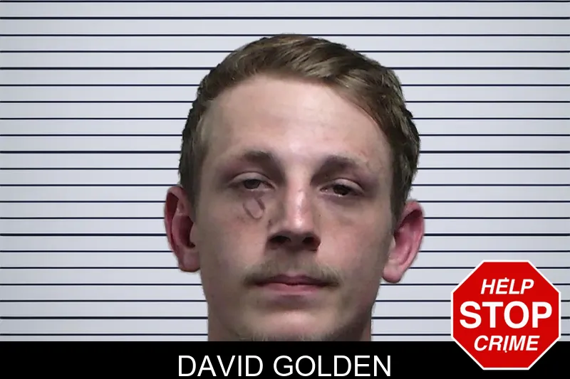 David Golden mugshot
